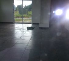 Carrelage du rdc en cours
