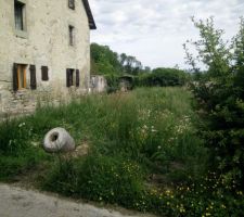 Le jardin côté EST... En mode touffu!