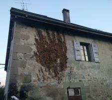 Le lière commence à mourir, il faudra bien le virer maintenant!