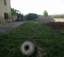 Après le passage de la débroussailleuse