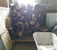 Stock de bois qui était présent dans le jardin