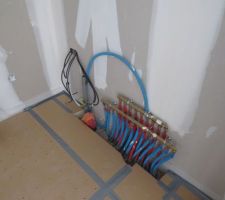 TMS de 10 cm
