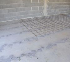 Mise en place du nouveau treillis