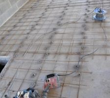 Mise en place du nouveau treillis