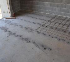 Mise en place du nouveau treillis