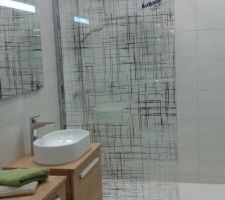 Paroi de douche salle d'eau rdc