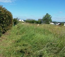 Petite coupe printani&egrave;re