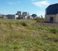 Petite coupe printani&egrave;re