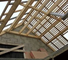 Ardoises et velux arrivés !