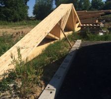03/06 La charpente est déjà sur place