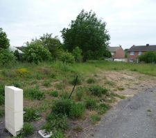 Terrain avant d&eacute;broussaillage (vue gauche)