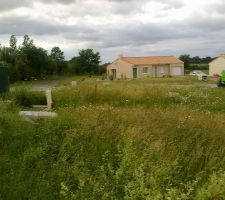 Arri&egrave;re du terrain