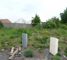 Terrain avant d&eacute;broussaillage (vue gauche)