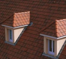 Les tuiles quon a choisies c'ets des LAFARGE PERSPECTIVE BADIANE