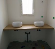 Installation plan et vasques