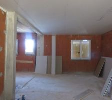 Salle de jeux et bureau du RdC