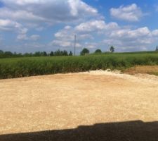 Terrain avant terre végétale