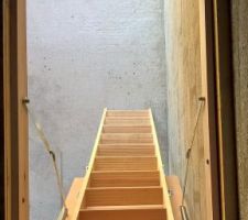 L'escatrape solide peut supporter jusqu'à 160kg.