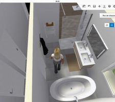 Idée de ce que pourrait être une des salle de bain