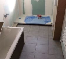 CARRELAGE EN COURS - SDB