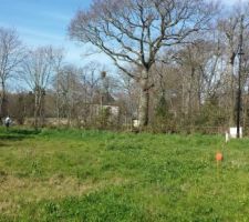 Depuis le fond gauche du terrain