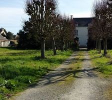 Le chemin privé qui longe le terrain est ses platanes pour l'ombre d'été