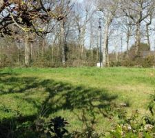 Depuis l'angle arrière droit du terrain que de la nature