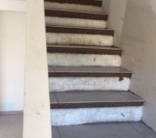 CARRELAGE ESCALIER EN COURS