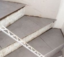CARRELAGE ESCALIER EN COURS