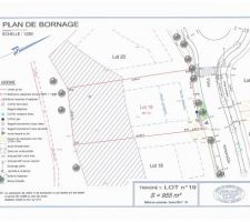 Plan de masse du terrain