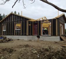 C'est parti pour la parti charpente