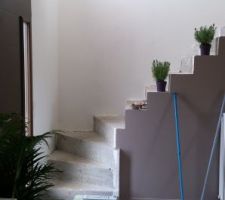 Nous ne savons pas encore que faire pour le revêtement d'escalier