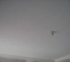 Peintures plafond en cours