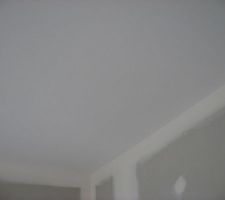 Peintures plafonds en cours