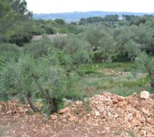 Vue sur le jardin depuis l'étage