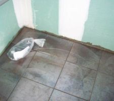 Le carrelage des WC de l'entrée.