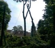 Je ne sais pas si vous le voyez mais notre bucheron est a l'oeuvre