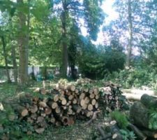 Les stères de bois en attente d?acquéreur car nous n'aurons pas de cheminé