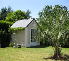 Après un petit séjour sur l?Île de brehat et c'est magnifique ph?nix envie de planter ce genre de palmier hélas chez nous risque de gèle donc dans le même esprit mais qui ne craint pas le froid la plantation d'un butia capitata