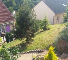 Ce n était qu une colline pleine de mauvaises herbes et surtout très raide et innaccessible