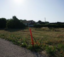 Implantation de la maison