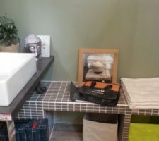 Modele de salle d'eau