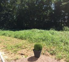 Il y a du nettoyage de terrain à faire!!!