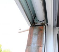 On est tellement bien dans notre maison que les oiseaux viennent faire leurs nids