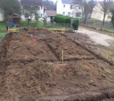 On coupe tout les arbres