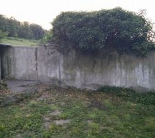 Retrait du lierre de ce côté, et coupe de quelques branches de l'arbre qui est de l'autre côté de notre terrain (dans le no man's land entre L'agriculteur et nous)