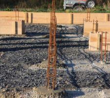 Quelques images en plus