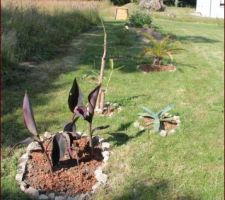 Les petits derniers: Canna a feuillage pourpre et fleurs orange