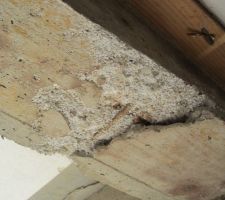 Ca c'est cadeau ou le d&eacute;but de l'aventure..