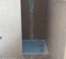 Voici notre salle d'eau attenante a notre chambre au rdc